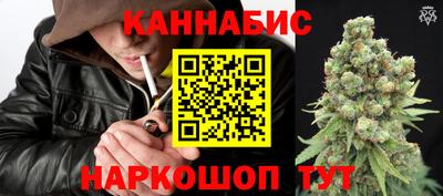 дмт Пугачёв